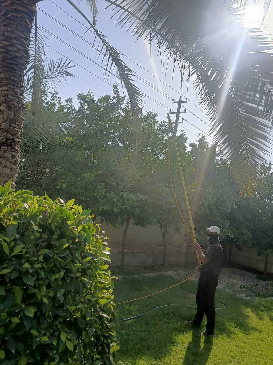 السلام عليكم مع بدء موسم رش المبيدات للنخيل والأشجار لحمايتها من الآفات الزراعية والغبار الذي يصيب ثمارها انا عامل وامتلك هولدر والذي يرغب في رش نخيله واشجاره لِحمايتها يتصل على هذا الرقم ***********
رقم الثاني ويوجد عليه واتساب ***********
