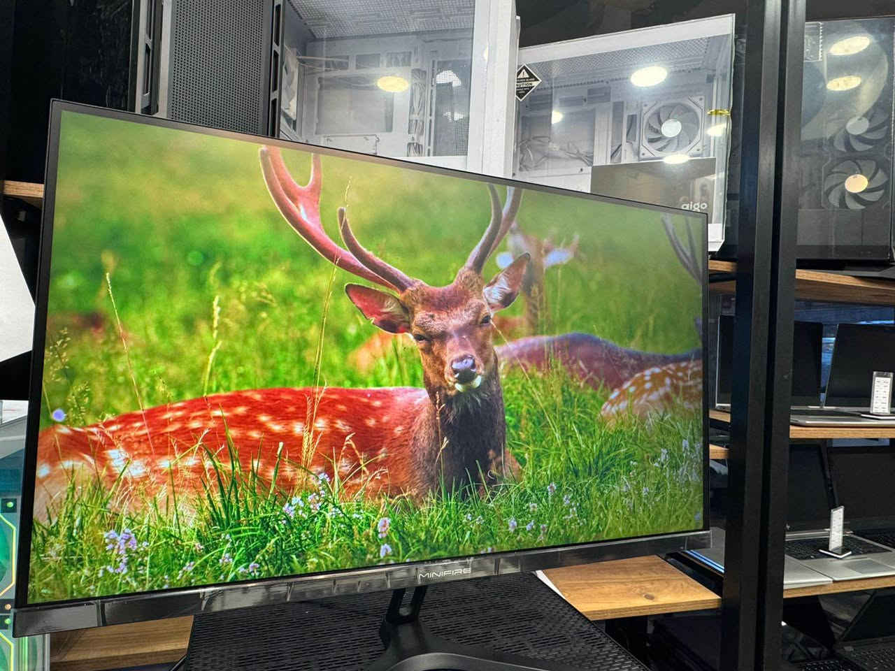 Monitor 27 inch MiniFire 100 Hz Full HD شاشة العاب

🔥 شاشة ألعاب MiniFire قياس 27 إنج 🔥
🎮 تجربة لعب أكبر وأكثر سلاسة

• قياس الشاشة: 27 إنج
• الدقة: Full HD 1080p
• التردد: 100Hz – سلاسة ممتازة للألعاب
• مناسبة للألعاب، الأفلام، والعمل المكتبي
• ألوان واضحة وحجم مثالي للغيمرز
• تصميم أنيق يناسب أي Setup

⚡ أداء ثابت + سعر مناسب
📦 متوفرة الآن – الكمية محدودة 
✔️ السعر 125،000 فقط 

📞 للتواصل والاستفسار: *********** أربيل, العراق
