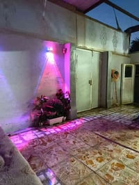 النجف الاشرف • حي الصدر الثالث • 160م