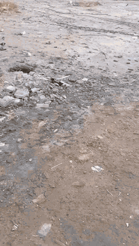 قطعه ارض للبيع سبع قصور شارع المشروع كامله الخدمات وراح يتبلط الفرع ما...