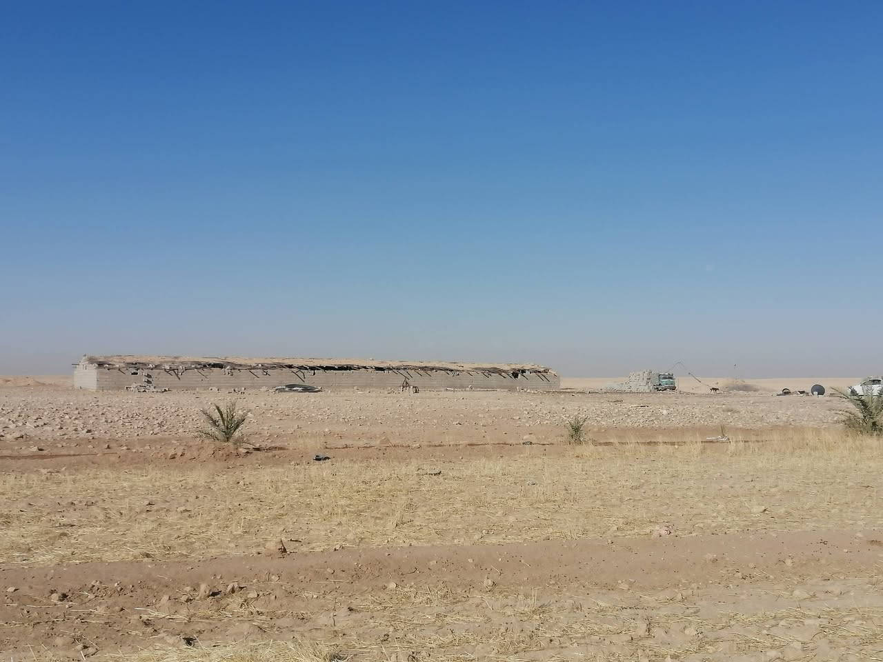 ارض زراعيه للبيع
 مساحتها 400 دونم ارض عدله مابيها ضهره .
موقعها باديه السماوه طريق السلمان قرب سيطره ال بطاح.

تباع معه معداتها البيها 

دفاعه 50 حصان.
بوري ماي حجم 5 انج العدد 82 بوري.

حوض ماء 26 ×26متر مربع وعمقه متر وربع.

بيت متكامل غرفه ومطبخ وبراني.

محوله خاصه للمزرعه250كيفي

حقل دواجن.

نخل العدد 45نخله انواع.

اربع ابار كل بير بي غطاس 20 احصان 

للستفسار: ***********
