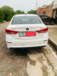 شنجان ALSVIN • ٢٠٢٥ • بدون صبغ