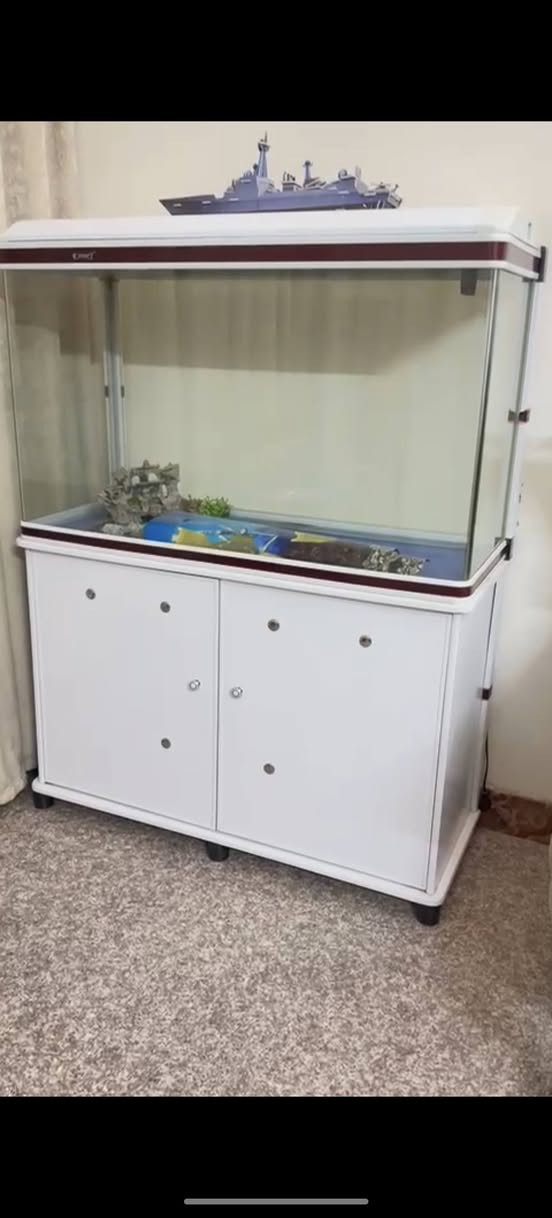 حوض سمج نظيف كولش سعره 200 وبيه مجال بسيط


**إذا كنت صاحب هذا الإعلان وتريد حذفه لأي سبب، رجاءا أرسل رسالة إلى الدعم الفني**