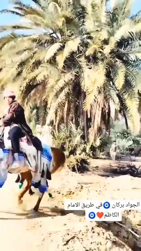 السَلٱمٌ عـَلـْيگمّ-ۈرحـْمّـٌة ٱللـّہ ﯙبُرگـّاتہ
اخون حصان درجه اول اشكر راس وشليل شرط الخياله والعب سالم م̷ـــِْن كل عيب لبيع يرهم مراوس بفرس


**إذا كنت صاحب هذا الإعلان وتريد حذفه لأي سبب، رجاءا أرسل رسالة إلى الدعم الفني**