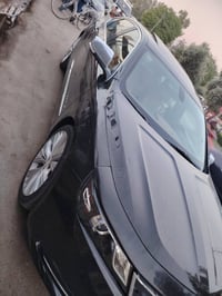 امبالا • ٢٠١٩ • ديالى المقدادية