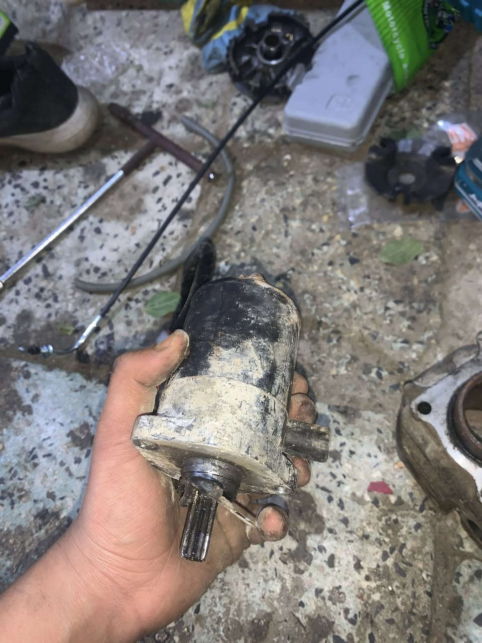 غراض ماكس منغولي كلجات بلاديه راس مجمع هوه غراضه سلف 55بعده جديد ماشه ماكس منغولي هيه ودبلات  عقل ماكس بلادي كلج خلفي ابلادي الأصلي
 صالنصه أف أم قبق هندر الاصلي وبعد غراض ماكس خير من الله


**إذا كنت صاحب هذا الإعلان وتريد حذفه لأي سبب، رجاءا أرسل رسالة إلى الدعم الفني**