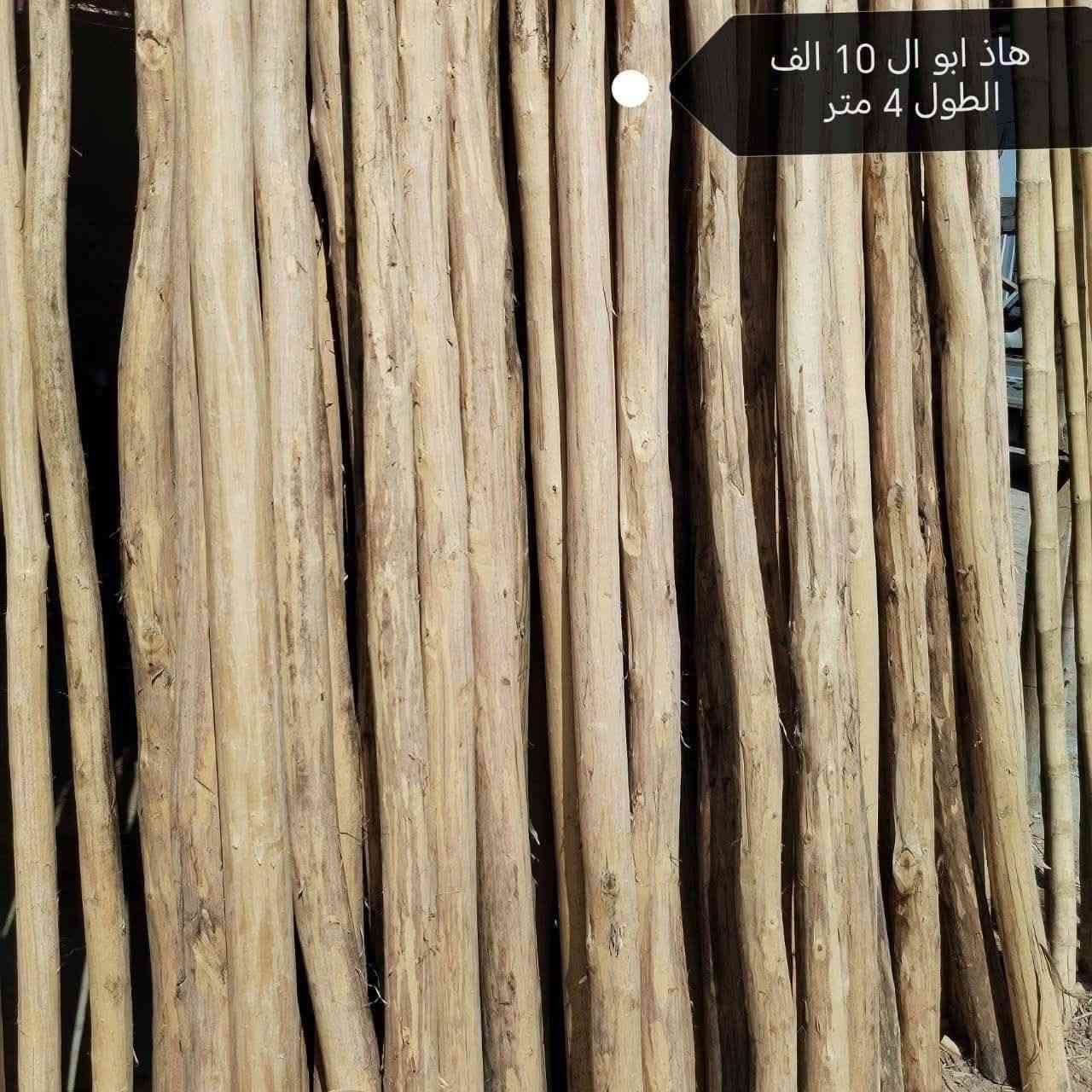 #ترند #جمال #جخو_الشغل_دا_يا_عااااالم❤️😎 #هاشتاقات_انستقرام_العربية #غزل #كوفي #مزرعة #مزرعه


**إذا كنت صاحب هذا الإعلان وتريد حذفه لأي سبب، رجاءا أرسل رسالة إلى الدعم الفني**