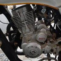 وبركاته ستوته للبيع موديل ٢٠٢٥ فحل تاير عريض اوراق شمالي صارلي شهر من ...