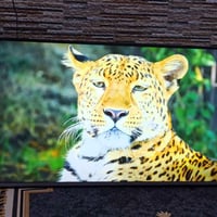 بلازمه وادي حجم 50 سمارت انترنت سعرها 225 وبيه مجال مكاني بغداد بالعبي...