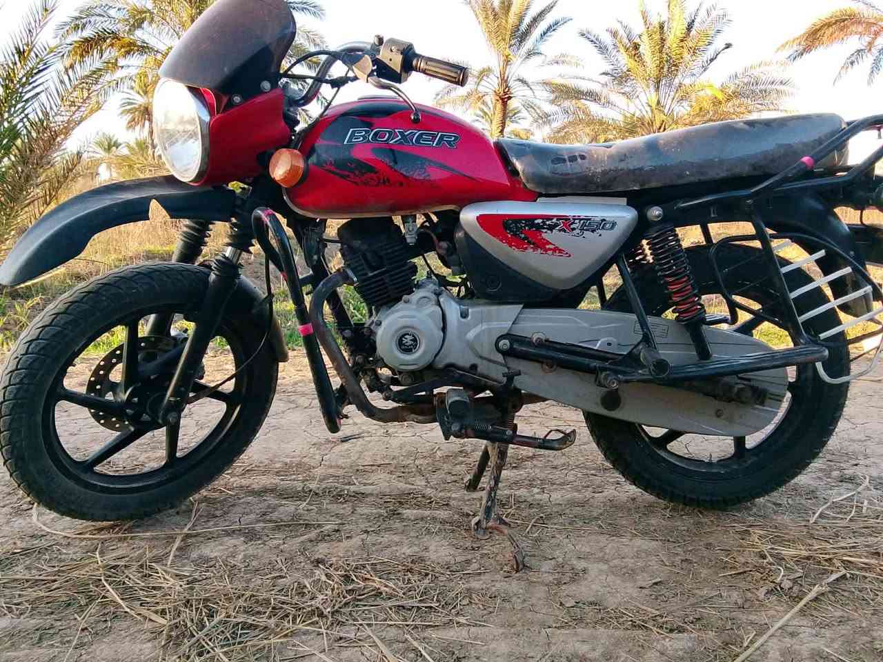 مكلف بلنشر لحد يراسل
بوكسر جبلي موديل 22 كفاله عامه شرط ترقيم سعر اتصل وبيك خير ودلل مكاني ديالى الخالص سنديه رقم صاحبه ***********. ابو عقيل العبادي
