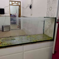 حوض سمك لبيع قياسه متر طوله وعرضه 35ورتفاعه45شراي يتصل قيمه وخضه رقمي ...