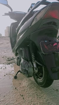 ماكس ثعلب • نظيفه • مامفتوحه