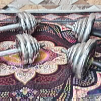 زوجين • دنبلص