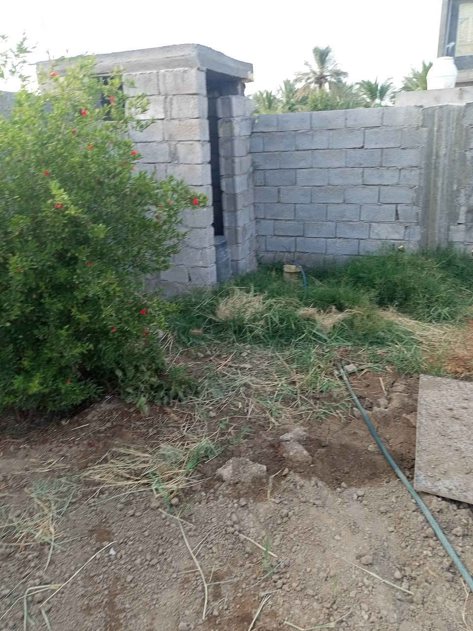 مشتمل هيكل  للبيع 
المساحة الكلية 186
مساحة البناء 100
استقبال 
غرفة نوم
صاله
مطبخ 
صحيات داخليه وخارجيه
التفاصيل أكثر الاتصال 
***********
