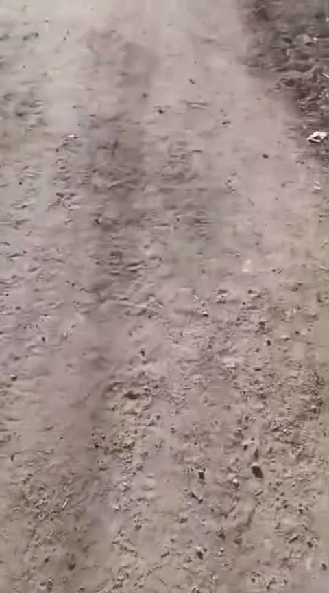 قطعه للبيع طابو ملك صرف اسود ع شارع عام 5 دقايق مشي عن سوق الباني بلد سلطان نفس الوقت نفوس ابو الخصيب والمدارس وكيات العشار المساحه اكثر من 500 متر ،،،،السعر 325


**إذا كنت صاحب هذا الإعلان وتريد حذفه لأي سبب، رجاءا أرسل رسالة إلى الدعم الفني**