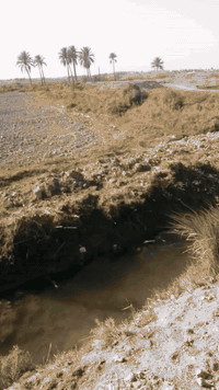 للبيع ارض زراعية سند٢٥ اللاستفسار ٠٧٨٠٤٧١١٥٥٦او مراجعة مكتب ابو مالك ا...