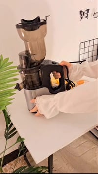 معصارة فواكه كهربائية