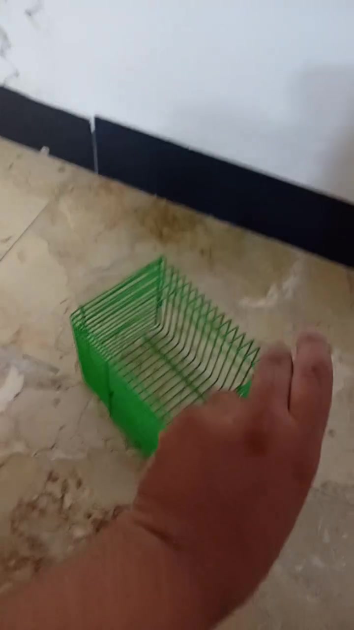 أقفاص و أغراض طيور زينة للبيع كربلاء حي السلام قيم و أخذ


**إذا كنت صاحب هذا الإعلان وتريد حذفه لأي سبب، رجاءا أرسل رسالة إلى الدعم الفني**
