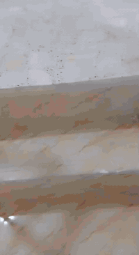 السلام عليكم
يوجد دار للبيع مساحته ١٢٠متر يحتوي على ٣ طوابق بناء حديث سنه ٢٠٢٢ واجهه ٦ _نزال ٢٠
العنوان: الشعب_سوق شلال_ الفلكه الثانيه_ محله٣٣٥_ زقاق١٧_دار٣
للتواصل او الاستفسار الاتصال بالرقم:***********
