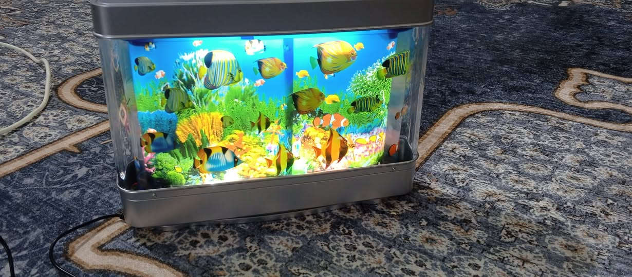 سلام عليكم حوض سمك زينة سعرة 13معة توصيل


**إذا كنت صاحب هذا الإعلان وتريد حذفه لأي سبب، رجاءا أرسل رسالة إلى الدعم الفني**