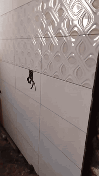 سلام عليكم خلفه سيراميك جدار ارضيه بايات مرمر بورسلين شغل درجه اوله ***********  اشتغل

 جميع المحافظات
