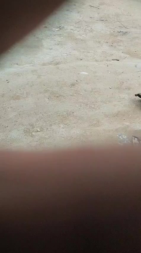 بيت 150م للرهان غرفتين وصالةومطبخ واستقبال وصحيات قرب فلكة الدلال 20 مليون سنتين قابل للتجديد للاستفسار ***********
