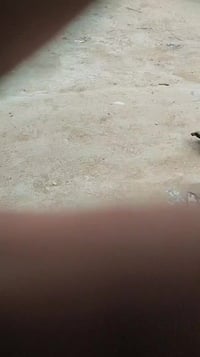 فلكة الدلال • ١٥٠م • غرفتين