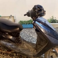 الكزز • دراجه