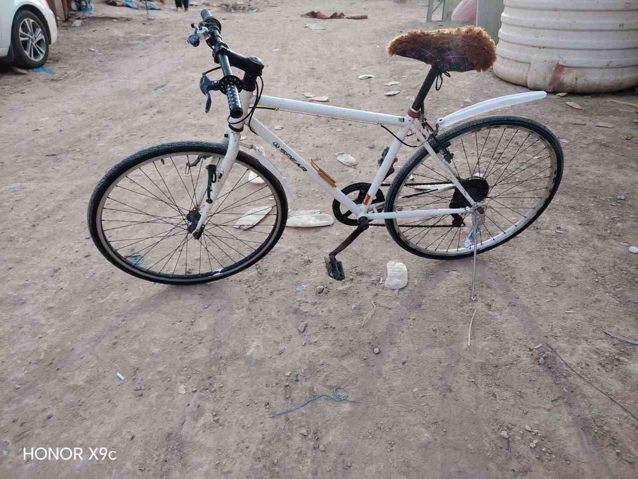 سلام عليكم ورحمه الله وبركاته عيني باسكل البيع كلش مرتب ونضيف شوفت عينك  كلشي بي جديد تواير وجوابه باسكل مرتب وعداد مال مكينه رايده  سعر 75 وبي مجال شراي بيك خير وادلل متواجد خاص


**إذا كنت صاحب هذا الإعلان وتريد حذفه لأي سبب، رجاءا أرسل رسالة إلى الدعم الفني**