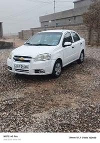 ٢٠٠٨ • رقم اربيل • بدون صبغ