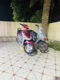 ماكس منغولي • حله مركز • سعر حلو