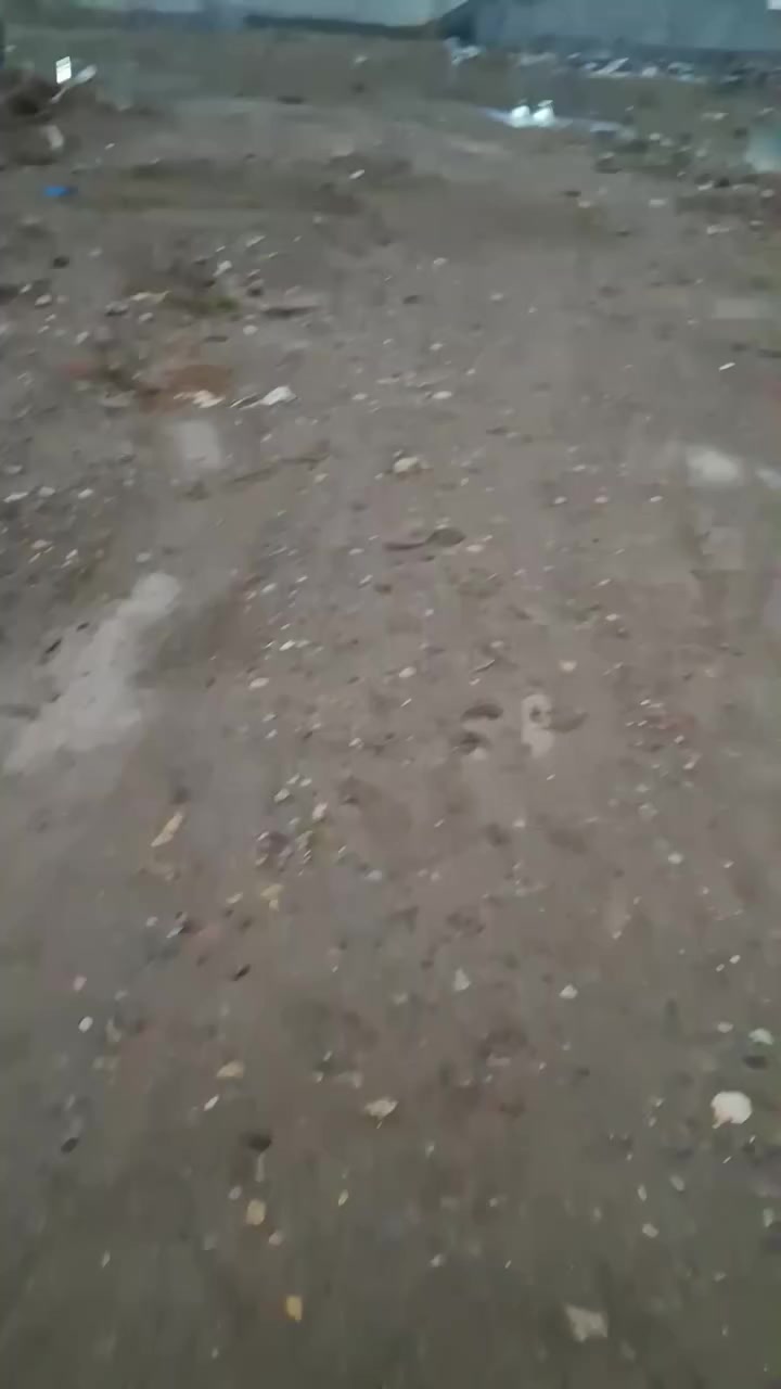 يالله يارزاق متوفر لدينا للببع قطعه ارض في ديالى قضاء الخالص منطقه الشرقيه مساحه ١٣٠ متر نزال ١٣ونص وجه ٩ونص السعر ٨ونص بس شراي يتفضل *********** *********** ملاحظة ماء كهرباء شارع بيت خرمه سند زراعي
