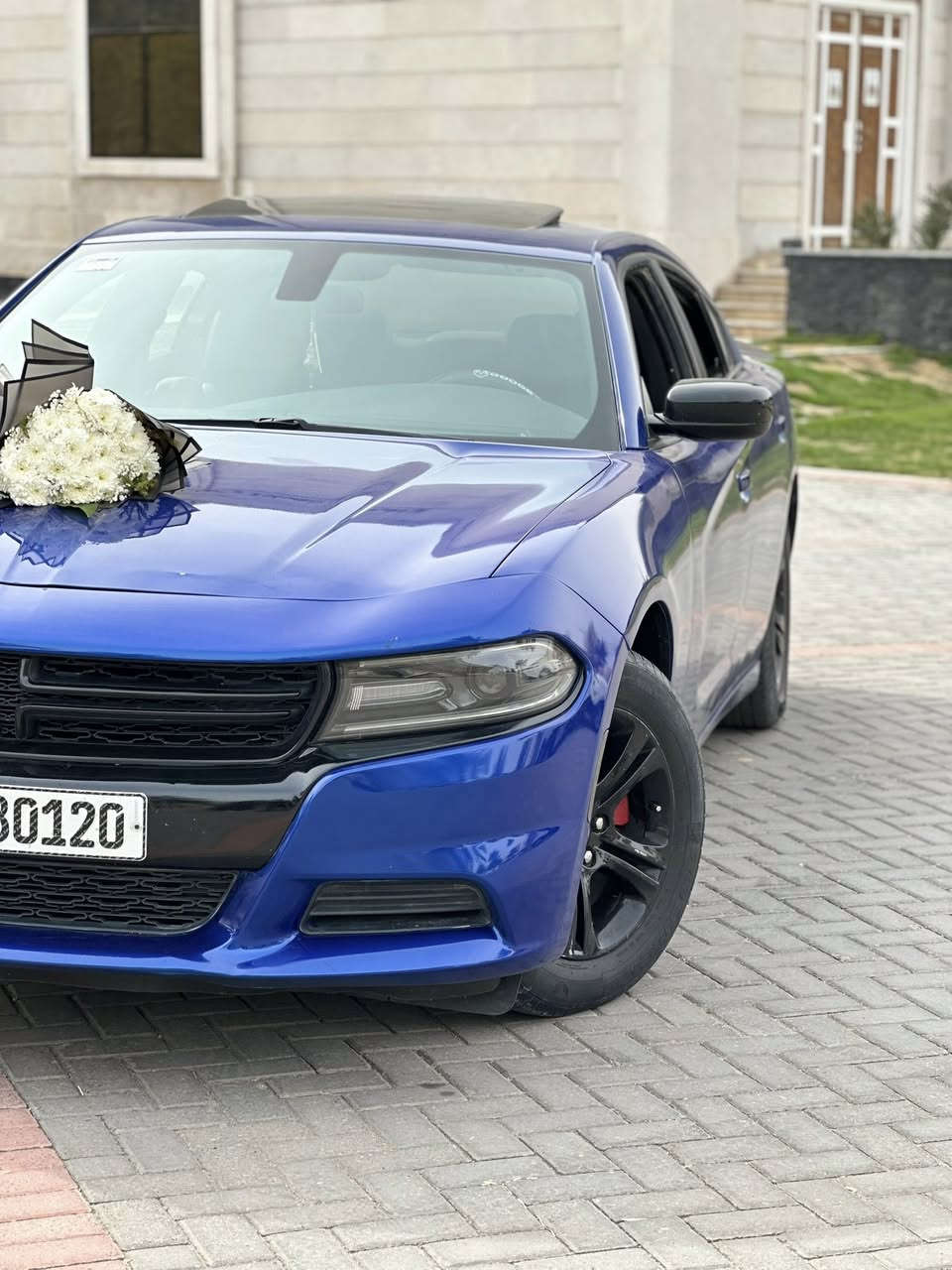 چارچـــر 2021 اصل (SXTبلص)
رقم بغداد دولي بأسمي 

محرك 3600
تو ويل 

فتحة 
كشنات حضن جلد تدفئة تبريد امامي خلفي 
تدفئة بلستيرن +هيتر بلمري 
شاشة كار بلي 

وباقي المواصفات 

 ماشية  60

صور امريكا بلمنشور حرق سطحي قطعتين قبق جنطة وجاملغ خلفي  مواصل للداخل (بدون ضربة)فقط صبغ 

رقم الشاصي :خاص 

وبلعراق صار بيها صبغ 4قطع موجودة صور بلمنشور  
1-باب السايق 2-والي خلفه 3-والجاملغات الامامية (فقط جاملغ الصدر مبدل بأصلي ومصبوغ )

**البنيد بي شبرين من الاطرف فقط موضح بلمنشور 

ايرباك دشبول فقط طاك راجع ستتم كله جديد مبدل (ولاكلوب مشتغل بلعينة)

حدادية السيارة الامامية كلها جديدة مابيها اي نقص  قبل شهر مبدلها 
 
شواصي محرك كير راديترات تبريد برغي ممفتوح بيهم بلاديات 

مكان السيارة كربلاء 

السعر :210بيها مجال بسيط

 ممتواجد ع نت ***********علي
كل التفاصيل مذكورة بلمنشور
