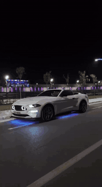 ((ارخص و انضف)) فورد موستنك موديل 2018 فول فول برنيوم بكل العراق 🤍🐎 
((سعرر 132 ورقه  ❤️‍🔥))
موصفات: 
(ايكوو پوست 4 سلندر) 
سياره جديد دينار مصرف مابيه كير مكينه بشرط 
فول 1/1 بريميوم
اربع سلندر 2.3 تيربو
لون ابيض 🤍 
سقف كشف
كشنات جلد 
كشنات كهرباء 
كشنات تبريد وتدفئة
شاشة كبيرة 
نضام كاربلي واندويد
دشبول 7 الوان
لايت زنون بلادي
خمس مودات قيادة
شفتات بالستيرن
كير 10 نمر
تبريد فول ومناخ منفصل
حساسات خلفية
كامرة خلفية دوارة
تشغيل عن بعد مع بصمة ابواب 
داخل لونين 🧡 🖤
علامة الحصان ضوئية بالمري
هيتر بالمري
((كير مكينة بشرط تريك وين ماا تريد )) مكينه ماا مفتوح بشرط
(رقم سنوي جديد رقم اربيل تحويل اول يوم)) سنوي لل 2030
ماشية 81 ميل
حادثه :: بيه (فقد 2 قطعة صبغ) (3 قطع تبديل) حادث خفيف جدا هذا رقم شاصي ⬇️
1FATP8UH5J5155399
سعرر سياره ((132 ❤️‍🔥)) ورقة

عنوان سياره ((زاخوو قريب عن دهوك 💟))

للاستفسار اتصل بهذا ارقام ⬇️

***********

واتساب موجود بيهم 
***********
