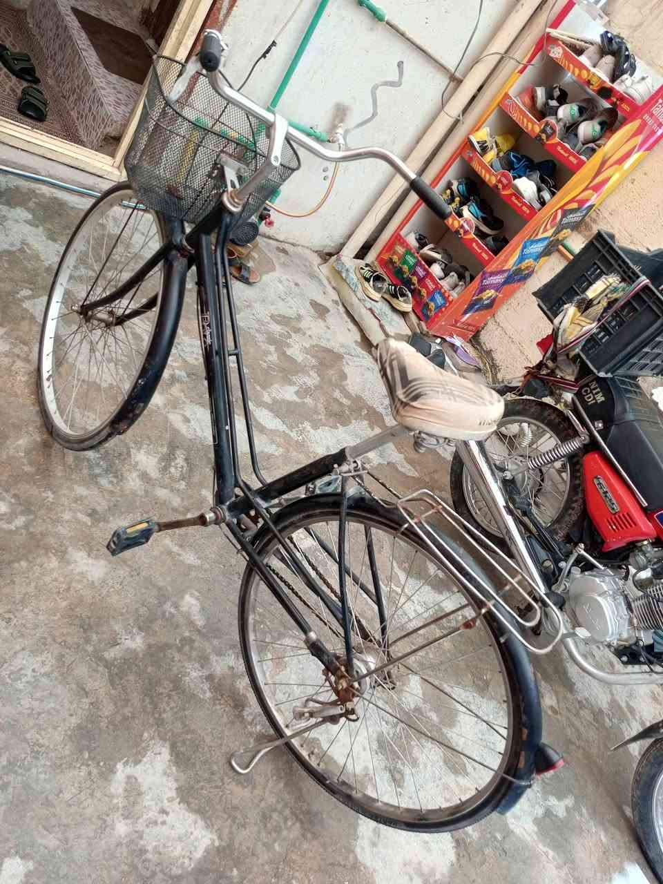 باسكل للبيع مكان كربلاء الجاهز السعر 50 رقم ***********
