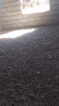 السلام عليكم يوجد كادر عمل تنضيف بيوت تصفير بيوت تصفيط اساسات تصليح الاستفسار عل رقم ***********
