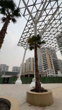 بوابة العراق • ٢٣٨م • سقف ٣.٥م