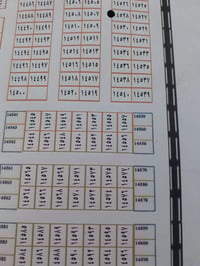 النجف ناحية النور • ٣٠٠م • طابو باسمك