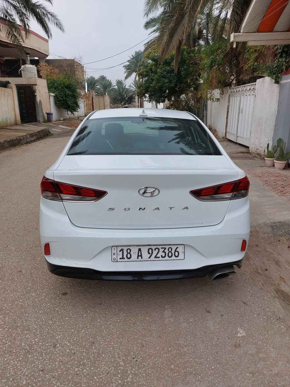 السلام عليكم لبيع سوناتا موديل 2019 رقم بابل انكليزي هزه سنويه جديد بيهه هلال الخلفي صبغ وبيهه بارد  مكينه مامفتوح برغي كير ومكينه حداديه مكفولات تبريد ثلج تخم تايرات جداد كهربائية كلهه شغاله سياره جاهزه من كلشي السعر 135 وبيهه مجال مكاني بابل ***********
