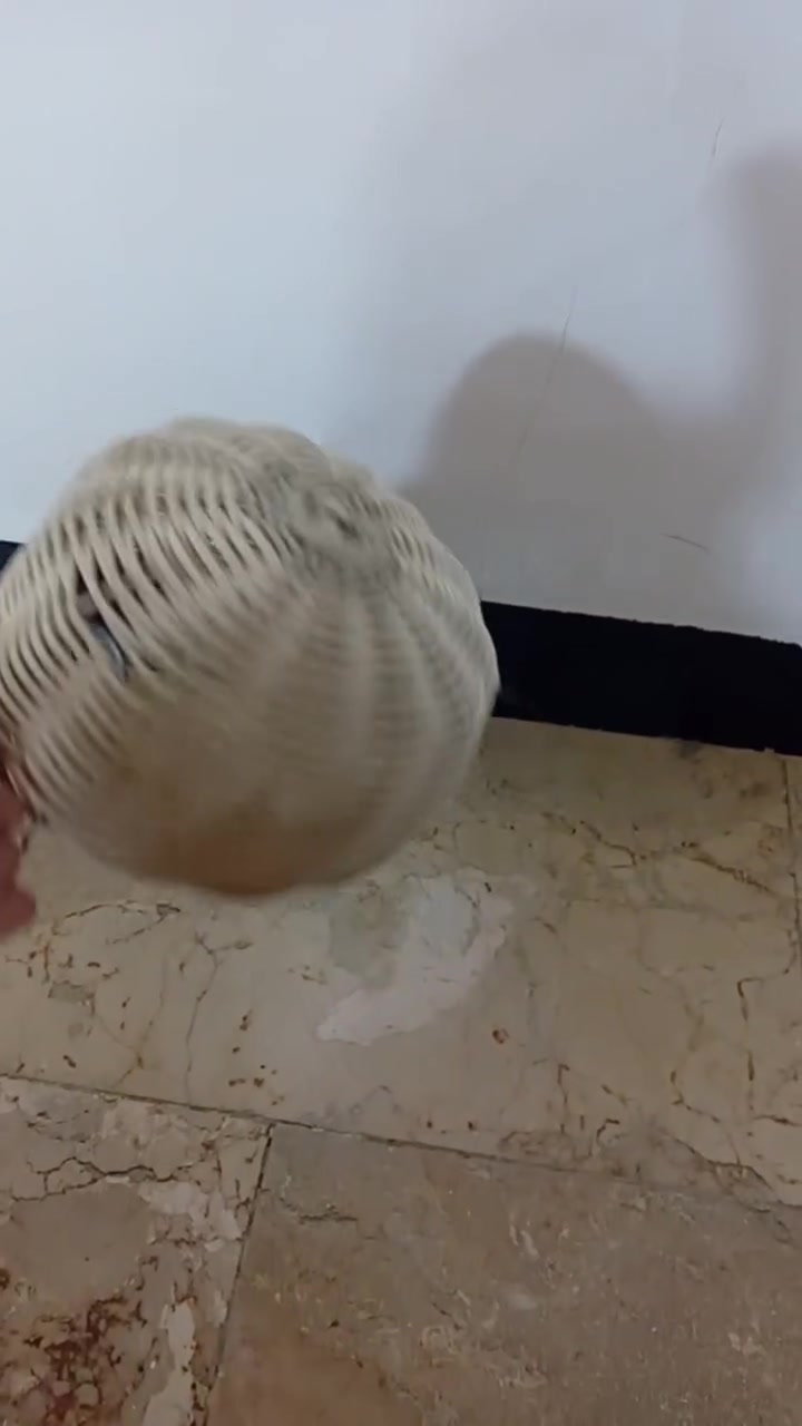 أقفاص و أغراض طيور زينة للبيع كربلاء حي السلام قيم و أخذ


**إذا كنت صاحب هذا الإعلان وتريد حذفه لأي سبب، رجاءا أرسل رسالة إلى الدعم الفني**