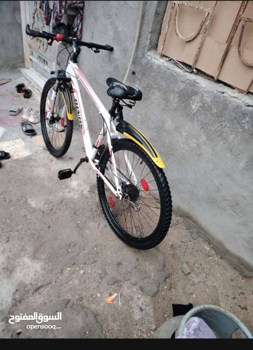 بايسكل جبلي ابيض نضافة90سعر 100وبي مجال للبايسكل كامل ما بي شي


**إذا كنت صاحب هذا الإعلان وتريد حذفه لأي سبب، رجاءا أرسل رسالة إلى الدعم الفني**