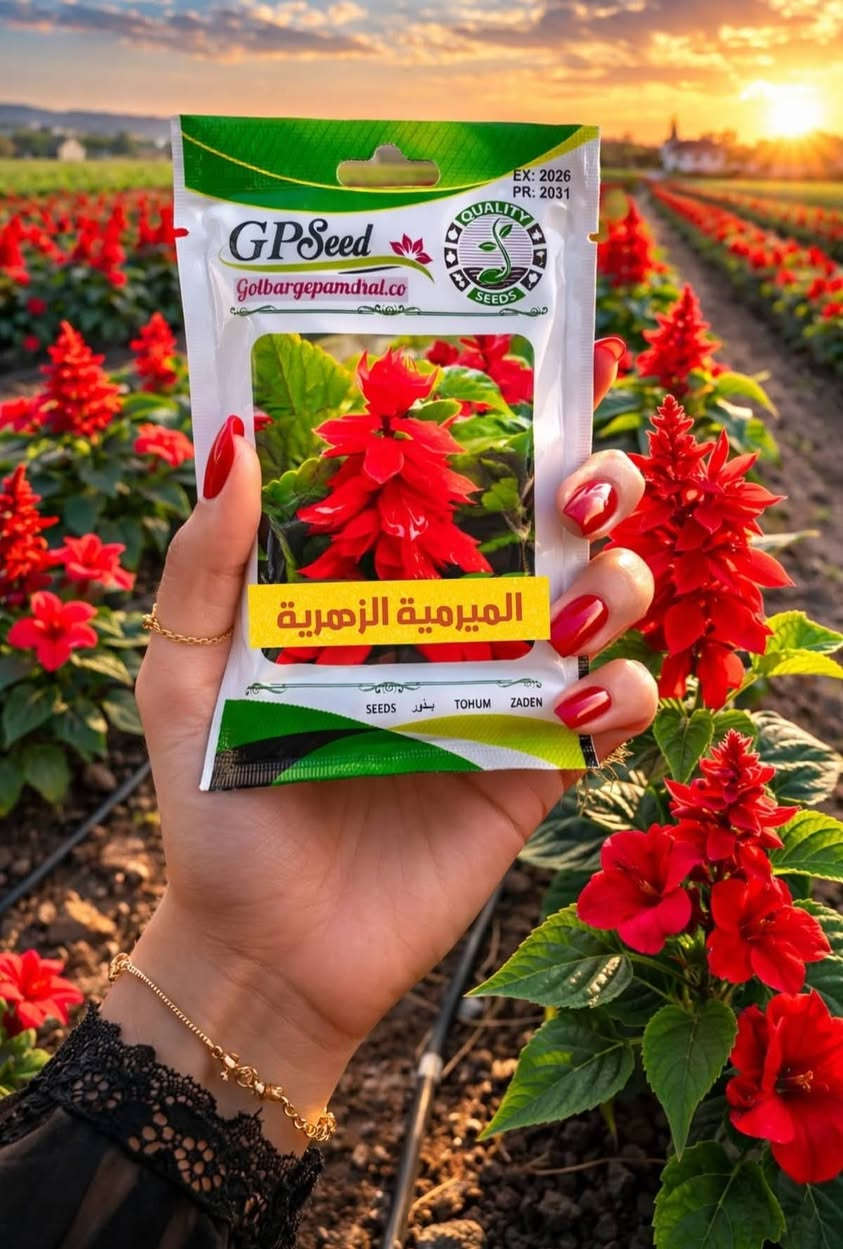 🌱💚 كل بذرة نحطها بالتربة… نحط وياها أمل جديد يكبر ويزهر.
 الزراعة مو مجرد هواية، بل أسلوب حياة يزرع الطمأنينة والراحة بكل بيت.

🌸 متوفر لدينا: في مكتب المهندس الزراعي 
– بذور زهور جميلة وزاهية تعطي لمسة فرح للحديقة
– بذور نباتات نادرة تضيف جمال استثنائي وذوق مختلف
– بذور أشجار مثمرة وزينة تنمو وتبقى لسنين طويلة

🛡️ نحرص أن نوفر لكم أجود الأصناف من بذور مختارة بعناية، ونقدمها بكل محبة وصدق.
💬 ثقتكم بينا هي أعظم مكسب، ومثل ما تعودتوا من عدنا… نوصللكم الأفضل دائمًا وبطيب خاطر.
🚚 خدمة التوصيل متوفرة إلى كل المحافظات، لأن هدفنا نوصل الجمال والخضرة لكل بيت عراقي
للأستفسار الاتصال :
***********
