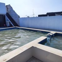 استراحة • ايجار يومي • الكوفة