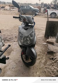 سكنس كابريته • كفالة ختم واحد • بابل مركز