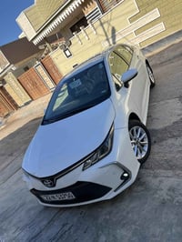 كورلا ٢٠١٩ • ٦٥ الف • كفالة عامة