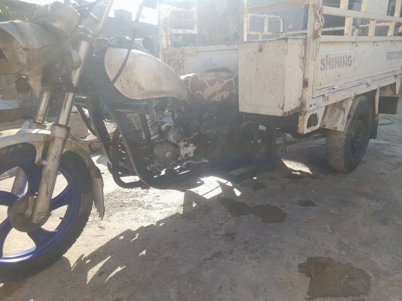 ستوته بلديه وراق صلي مكفول من الحيم  السعر ٧٠٠  بيهه مجال ***********
