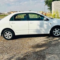 كورلا بيكاتشو • ٢٠٠٣ • رقم نينوى