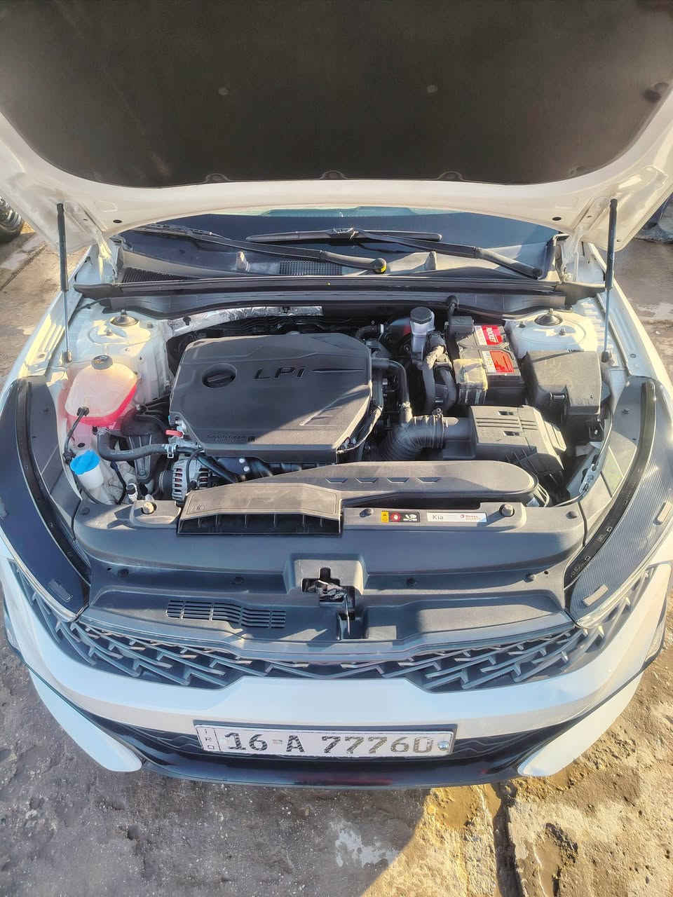 23 وارد كوري رقم قادسية دولي باسمي
كفالة السيارة وسونارهة موجود غاز بلادي السيارة جاهزة من كلشيي وجديدة والصور تحكم مكانهة الديوانية
السعر 205 الماتفيدة يدعيلنة بالرزق وكلشي اكو بالسوك حتى بشدة تحصل
***********
