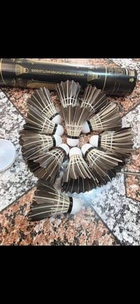 ريش تنس • ١٢ قطعة