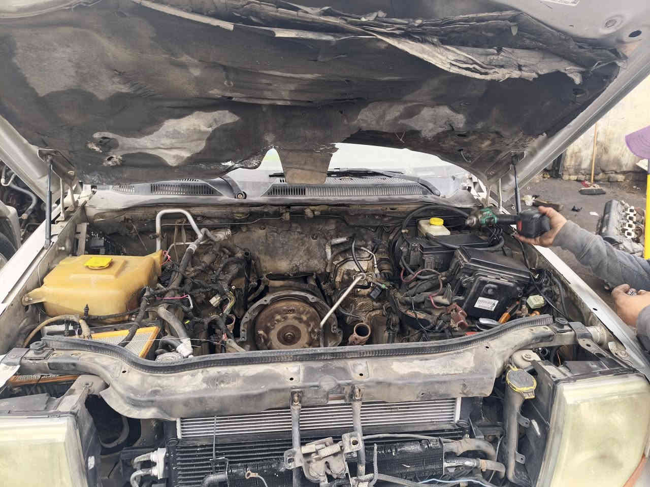 الهم صلي على محمد وال محمد
محلات الديراوي (ملك الجيب)

ليس  اننا الوحيدون لكننا الافضل 🤝

تم بعون الله تبديل مكينه 4.700 فتح كصه جيب كوماندر. 
يتوفر جميع قطع الغيار جيب كوماندر شيروكي لبرتي نترو باتريوت 
محلات الديراوي
 بصره صناعية حمدان 
تواصل  واستفسار 
***********

***********
